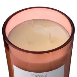 New ✨ 8 Pack: Peony & Rose 2-Wick Jar Candle by Ashland® 😉 -Ashland Shop MP638399 31