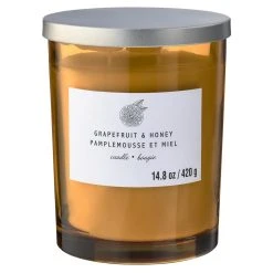 Best reviews of 🎁 8 Pack: Grapefruit & Honey 2-Wick Jar Candle by Ashland® 🧨