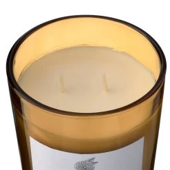 Best reviews of 🎁 8 Pack: Grapefruit & Honey 2-Wick Jar Candle by Ashland® 🧨 -Ashland Shop MP638406 31