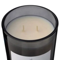 Wholesale ⭐ 8 Pack: Embers & Musk 2-Wick Jar Candle by Ashland® ⭐ -Ashland Shop MP638410 31