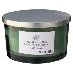 New ✨ 8 Pack: Eucalyptus & Sage 3-Wick Jar Candle by Ashland® 😍