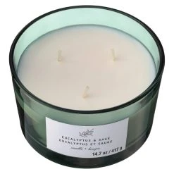 New ✨ 8 Pack: Eucalyptus & Sage 3-Wick Jar Candle by Ashland® 😍 -Ashland Shop MP638411 31