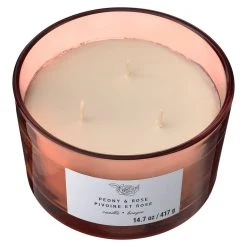Best deal 🤩 8 Pack: Peony & Rose 3-Wick Jar Candle by Ashland® ✨ -Ashland Shop MP638413 31