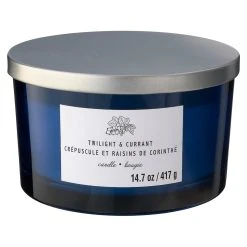 Budget ❤️ 8 Pack: Twilight & Currant 3-Wick Jar Candle by Ashland® 🔥